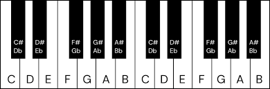 muziek akkoorden